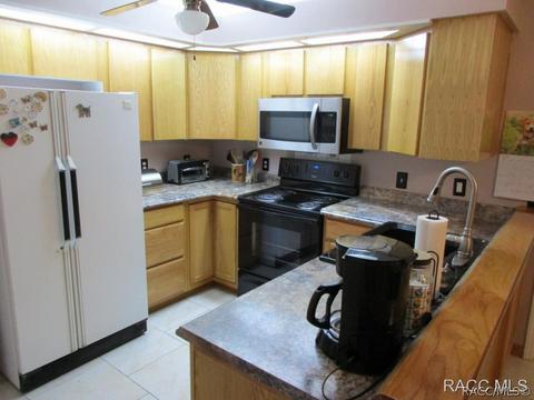 968 E Bradford Ln, Holder, FL 34445 photo 13