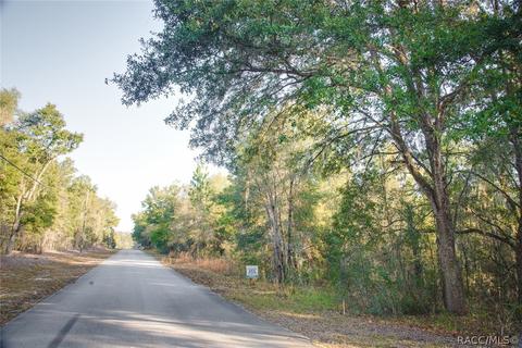 2583 N Leesburg Ave, Hernando, FL 34442 photo 10