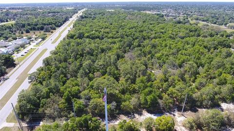 2583 N Leesburg Ave, Hernando, FL 34442 photo 5