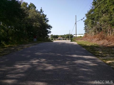 2583 N Leesburg Ave, Hernando, FL 34442 photo 1