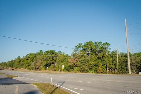 2583 N Leesburg Ave, Hernando, FL 34442 photo 7