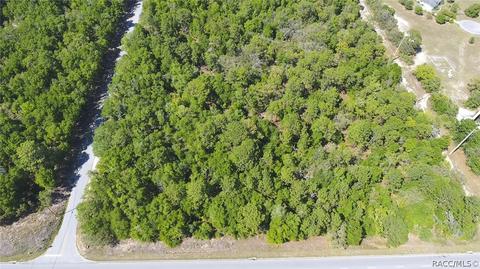 2583 N Leesburg Ave, Hernando, FL 34442 photo 3