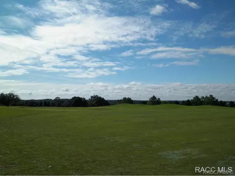 1283 N Man O War Dr, Hernando, FL 34442 photo 11