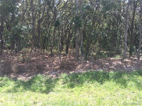 670 W Olympia St, Hernando, FL 34442 photo 1