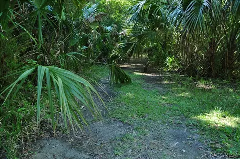 200 Palm St, Inglis, FL 34449 photo 5