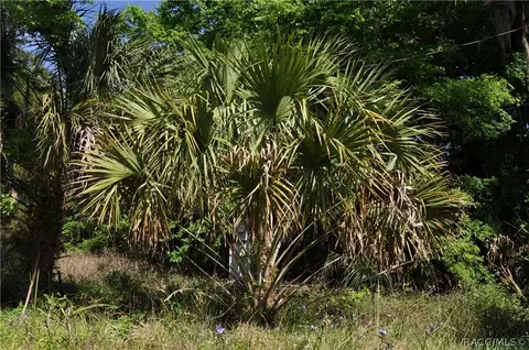 200 Palm St, Inglis, FL 34449 photo 4