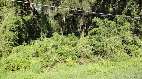 4907 4935 N Tanglewood, Hernando, FL 34442 photo 8