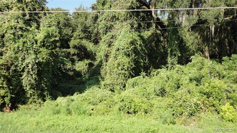 4907 4935 N Tanglewood, Hernando, FL 34442 photo 7
