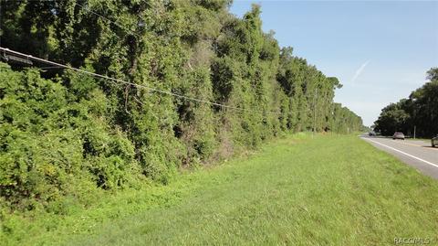 4907 4935 N Tanglewood, Hernando, FL 34442 photo 10