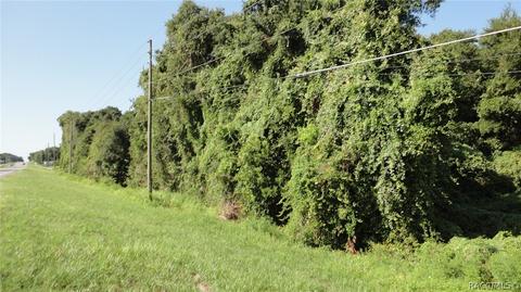 4907 4935 N Tanglewood, Hernando, FL 34442 photo 1