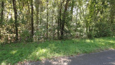 4907 4935 N Tanglewood, Hernando, FL 34442 photo 13