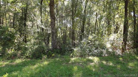 4907 4935 N Tanglewood, Hernando, FL 34442 photo 12