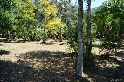 6810 E Duffy Ct, Hernando, FL 34442 photo 26