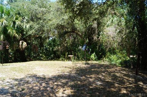 6810 E Duffy Ct, Hernando, FL 34442 photo 2