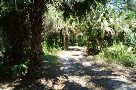 6810 E Duffy Ct, Hernando, FL 34442 photo 36