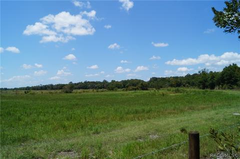 6810 E Duffy Ct, Hernando, FL 34442 photo 29