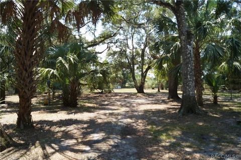 6810 E Duffy Ct, Hernando, FL 34442 photo 30
