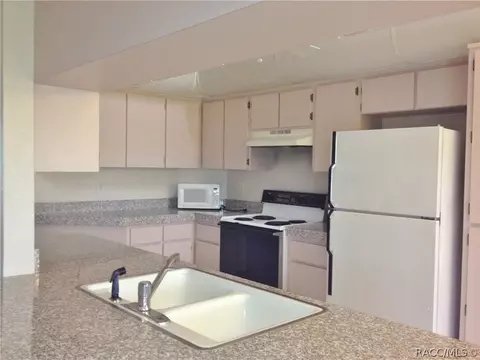 830 E Connecticut Ln, Hernando, FL 34442 photo 6