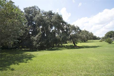 4260 N Arbor Shore Trl, Hernando, FL 34442 photo 42