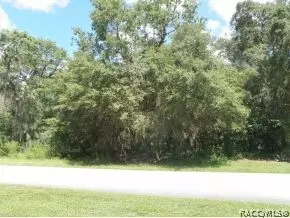557 E Jenkins Ct, Hernando, FL 34442 photo 1