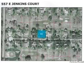 557 E Jenkins Ct, Hernando, FL 34442 photo 4