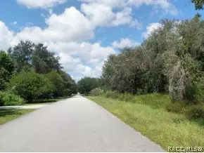 557 E Jenkins Ct, Hernando, FL 34442 photo 3
