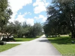 557 E Jenkins Ct, Hernando, FL 34442 photo 2