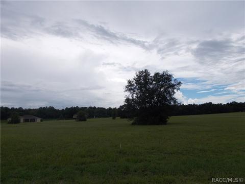 294 E Samuel Ct, Hernando, FL 34442 photo 2