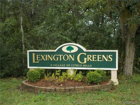 294 E Samuel Ct, Hernando, FL 34442 photo 3