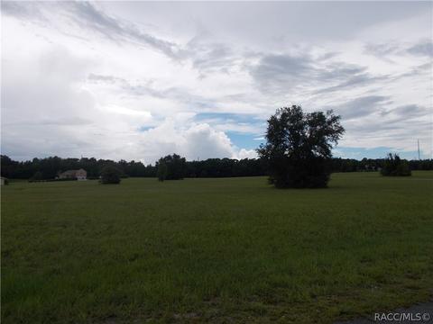294 E Samuel Ct, Hernando, FL 34442 photo 1