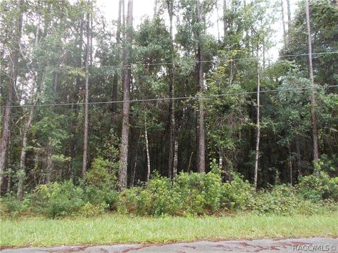 1106 W Legion Ct, Hernando, FL 34442 photo 1