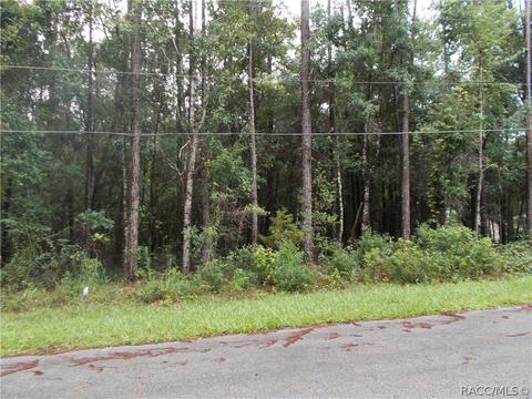 1106 W Legion Ct, Hernando, FL 34442 photo 2