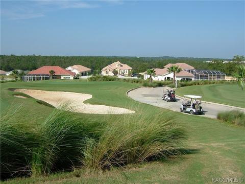 1273 W Diamond Shore Loop, Hernando, FL 34442 photo 33