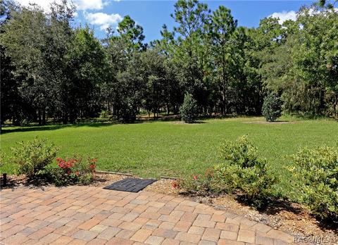 1273 W Diamond Shore Loop, Hernando, FL 34442 photo 19