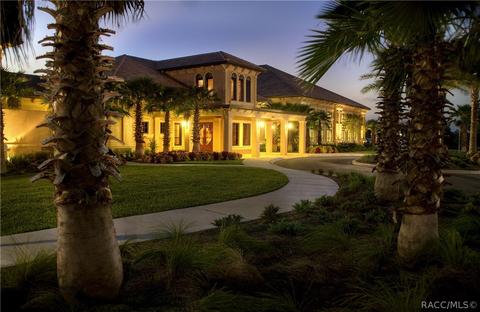 1273 W Diamond Shore Loop, Hernando, FL 34442 photo 24