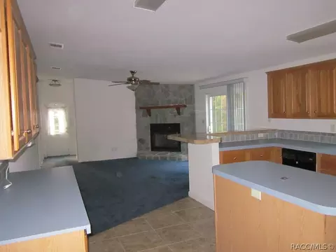 3039 E Timberwood Ct, Hernando, FL 34442 photo 24