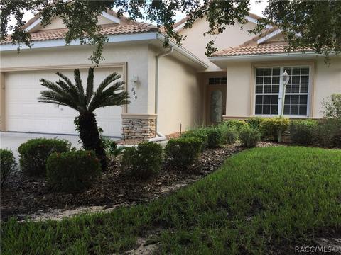 830 W Silver Meadow Loop, Hernando, FL 34442 photo 2