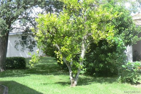 264 N Turkey Pine Loop, Lecanto, FL 34461 photo 41