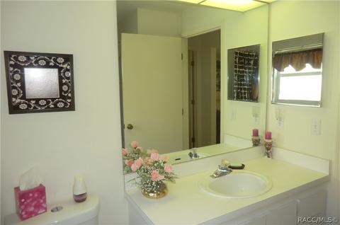 264 N Turkey Pine Loop, Lecanto, FL 34461 photo 21