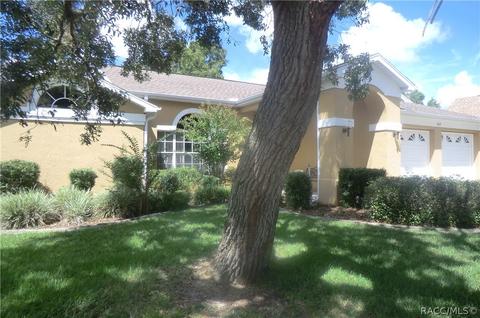 264 N Turkey Pine Loop, Lecanto, FL 34461 photo 38
