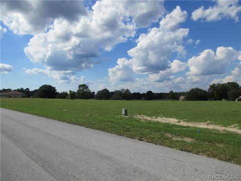 197 E Dusty Ct, Hernando, FL 34442 photo 4