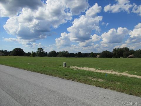 197 E Dusty Ct, Hernando, FL 34442 photo 5