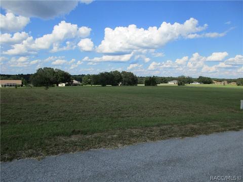 197 E Dusty Ct, Hernando, FL 34442 photo 6