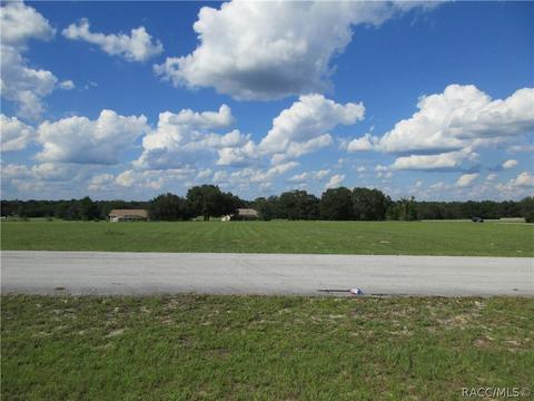 197 E Dusty Ct, Hernando, FL 34442 photo 7