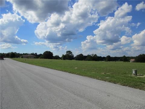 197 E Dusty Ct, Hernando, FL 34442 photo 3