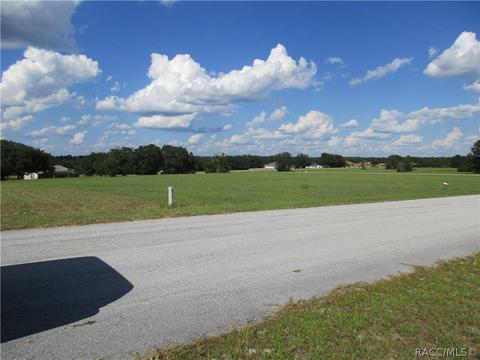 197 E Dusty Ct, Hernando, FL 34442 photo 1