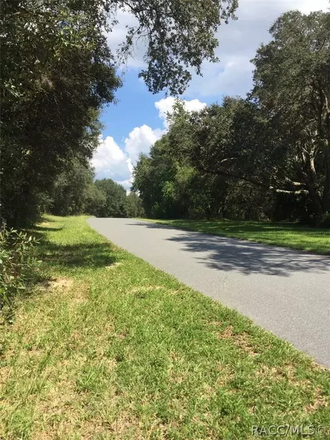 1405 E Wedgewood Ln, Hernando, FL 34442 photo 28