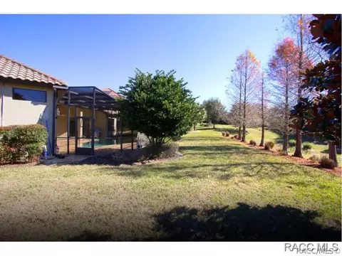 1428 N Ridge Meadow Path, Hernando, FL 34442 photo 22