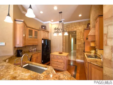 1428 N Ridge Meadow Path, Hernando, FL 34442 photo 7