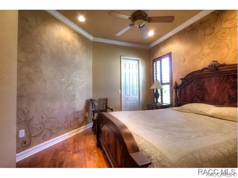 1428 N Ridge Meadow Path, Hernando, FL 34442 photo 17